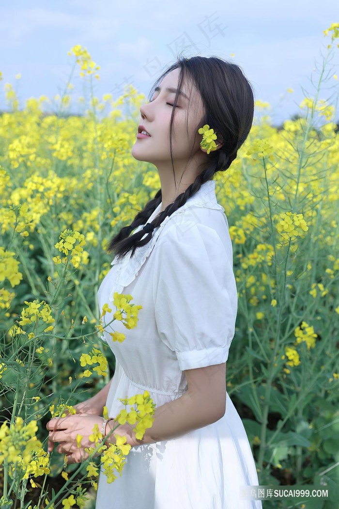 电视剧绝望的主妇