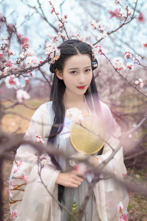 虫爱少女