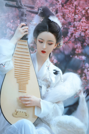 韩剧《困在墙里的女人》