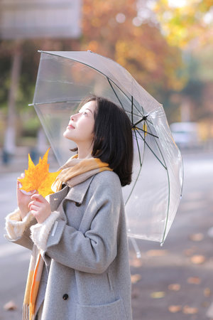 妈妈出女婿免费看电视剧