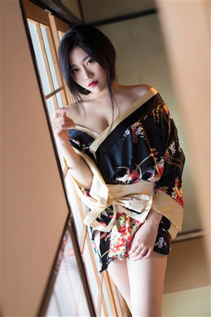 秘密访客小说
